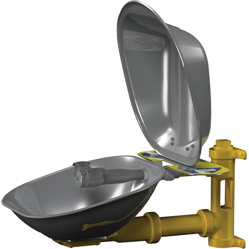 Halo Eyewash Stations, Wall-Mount Installation, Stainless Steel Bowl Sécurité Médic