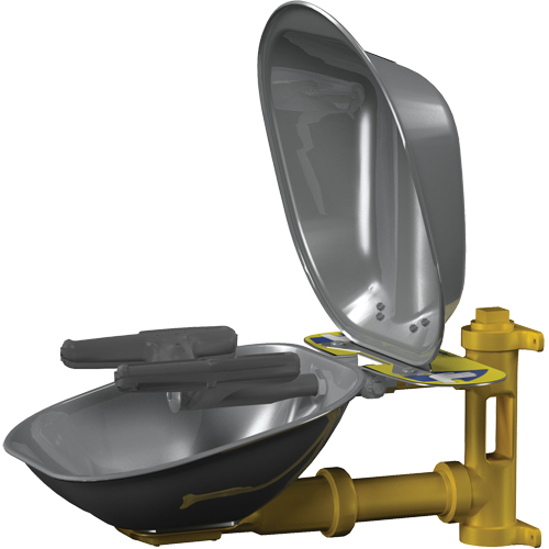 Halo Face/Eyewash Stations, Wall-Mount Installation, Stainless Steel Bowl Sécurité Médic