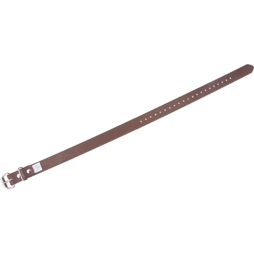 Leg Straps Sécurité Médic