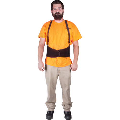 Back Support, Elastic, Medium Sécurité Médic