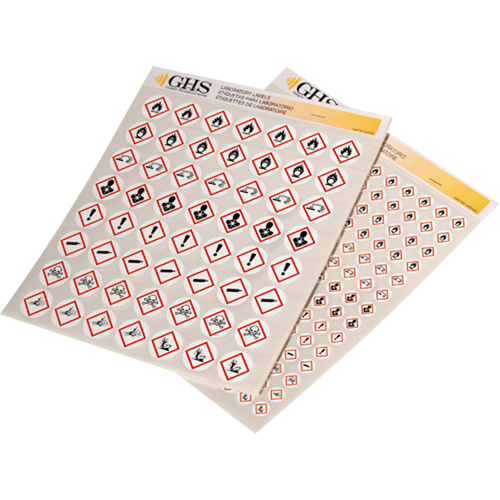 Assortiment d'&eacute;tiquettes avec pictogrammes sgh, Vinyle, Feuille, 1/2" lo x 1/2" la Sécurité Médic