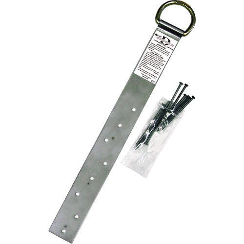 Miller&reg; Single Roof Anchor, D-Ring, Permanent Use Sécurité Médic