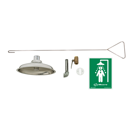Concealed Drench Shower, Ceiling-Mount Sécurité Médic