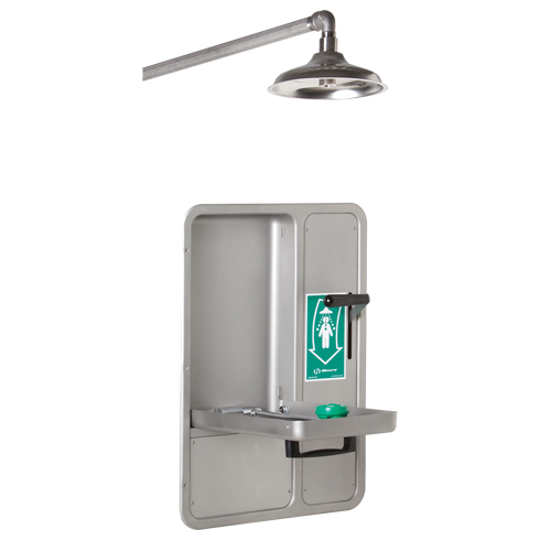 Eye/Face Wash and Shower, Ceiling-Mount Sécurité Médic
