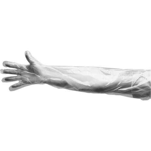 Disposable Gloves, Large, Polyethylene, 9-mil, Powdered, Clear Sécurité Médic