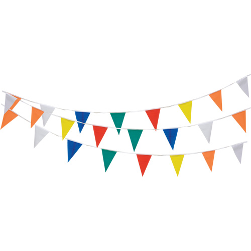 Pennant String, 60' L, Multicolour Sécurité Médic