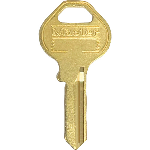 Padlock Master Key Sécurité Médic