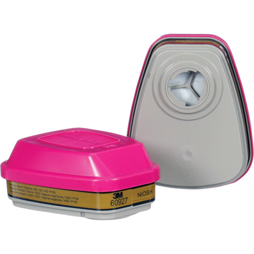 Cartridge, Combination Gas/Vapour Cartridge and Particulate Filter, Multi-Gas/Vapour/P100 Sécurité Médic