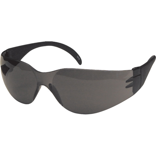 CeeTec Safety Glasses, Grey Lens, Anti-Fog/Anti-Scratch, Meets/Exceeds CSA Z94.3 Sécurité Médic