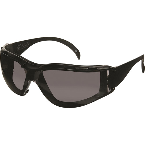 CeeTec DX Safety Glasses, Grey Lens, Anti-Fog/Anti-Scratch, Meets/Exceeds CSA Z94.3 Sécurité Médic
