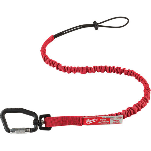 Longe verrouillable pour outils, Tendeur, Mousqueton/boucle Sécurité Médic