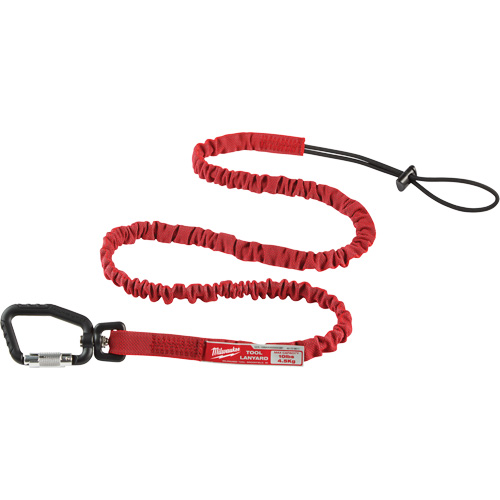 Longe verrouillable pour outils &agrave; port&eacute;e &eacute;tendue, Tendeur, Mousqueton/boucle Sécurité Médic