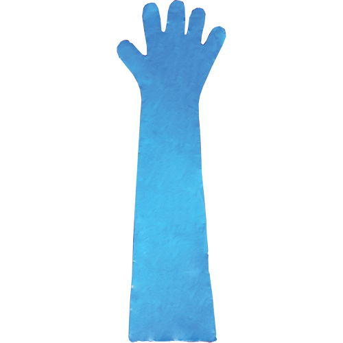 Disposable Gloves, Polyethylene, Powder-Free, Blue Sécurité Médic