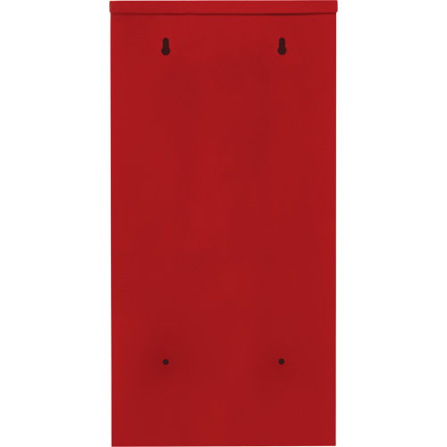 Heavy-Duty Outdoor Fire Extinguisher Cabinet, 14" W x 28" H x 10" D Sécurité Médic