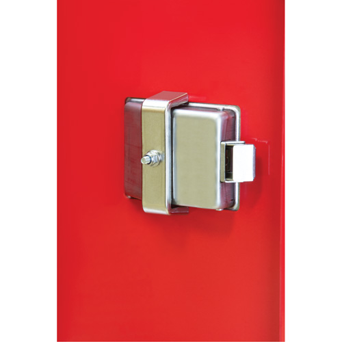 Heavy-Duty Outdoor Fire Extinguisher Cabinet, 14" W x 28" H x 10" D Sécurité Médic