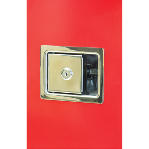 Heavy-Duty Outdoor Fire Extinguisher Cabinet, 14" W x 28" H x 10" D Sécurité Médic