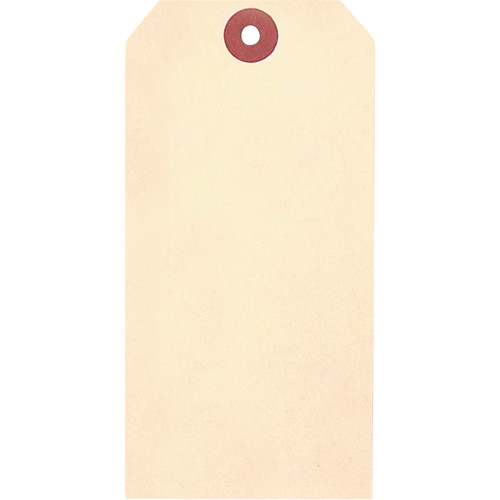 Manila Blank Tags, Cardstock, 2-5/8" W x 5-1/4" H Sécurité Médic