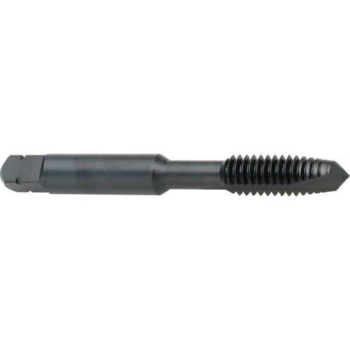 Taraud &agrave; entr&eacute;e h&eacute;licoidale, Acier rapide au cobalt, Filet de 8-32, 2-1/8" l Sécurité Médic