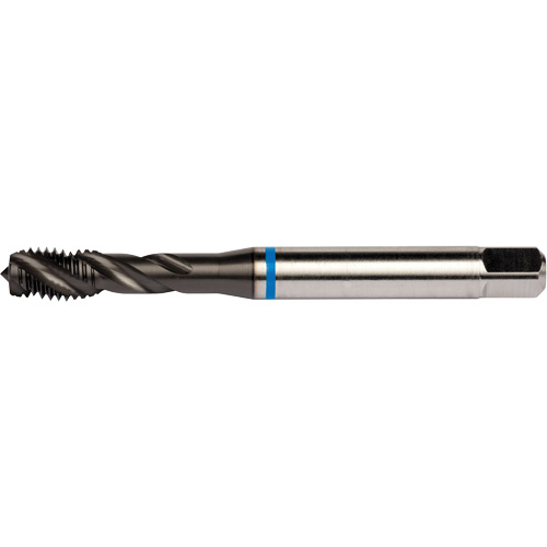 Blue Shark Spiral Flute Tap, High Speed Cobalt, 1/4"-28 Thread, 3.15" L Sécurité Médic