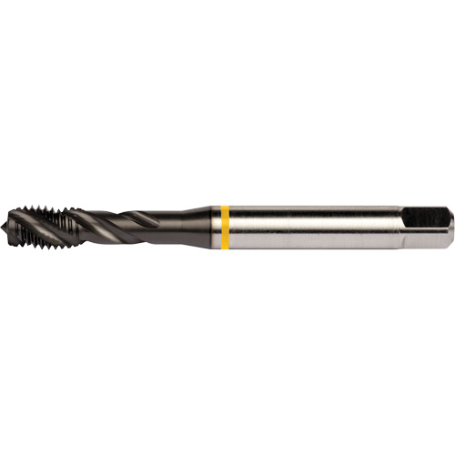 Taraud &agrave; goujures h&eacute;licoidales Yellow Shark, Acier rapide au cobalt, Filet de 1/4"-20, 3,15" l Sécurité Médic