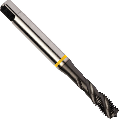 Taraud &agrave; goujures h&eacute;licoidales Yellow Shark, Acier rapide au cobalt, Filet de 1/4"-20, 3,15" l Sécurité Médic