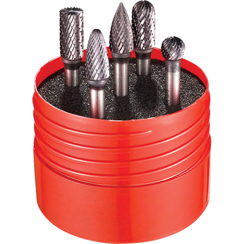 Double Cut Rotary Burr Set, 5 Pieces Sécurité Médic