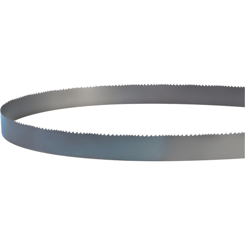 Welded Bandsaw Blade, Bi-Metal, 14' L x 1" W x 4 - 6 TPI Sécurité Médic