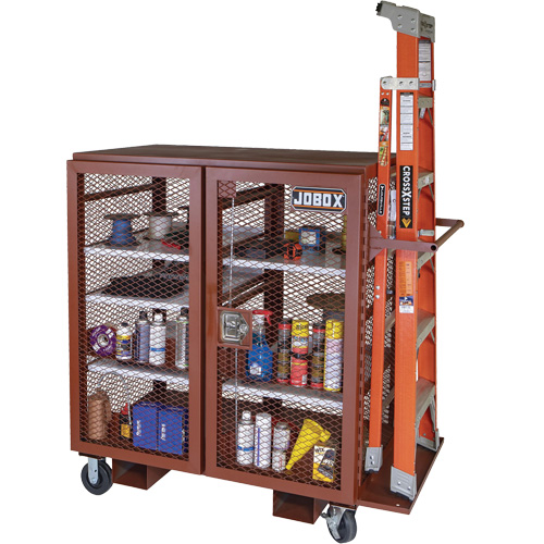 Mobile Mesh Cabinet, Steel, 37 Cubic Feet, Red Sécurité Médic
