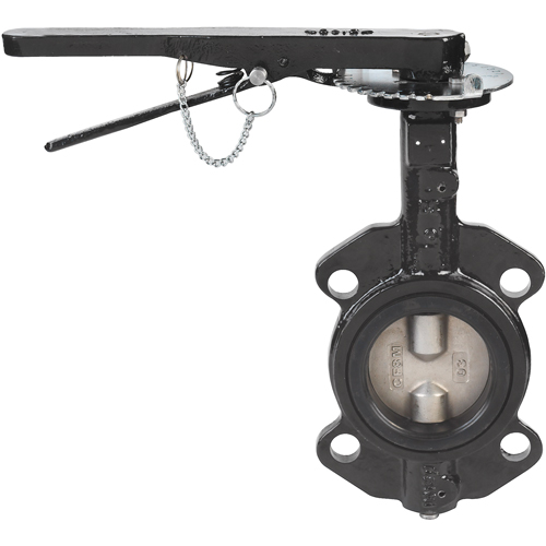 Butterfly Valves - Series BFV, 2-1/2" Pipe, 225 PSI Sécurité Médic