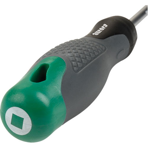Square Tip Screwdriver, #1 Tip, Round Sécurité Médic