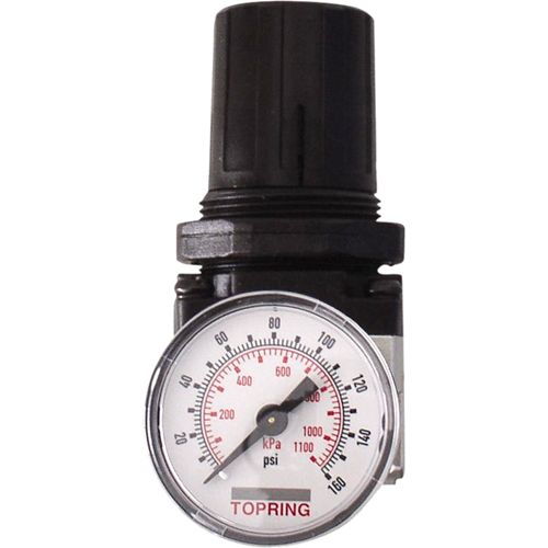 Regulators, 1/2" NPTF, 150 PSI Max. PSI, Modular Sécurité Médic