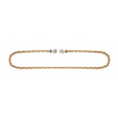 Binder Chain with Clevis Grab Hooks Sécurité Médic
