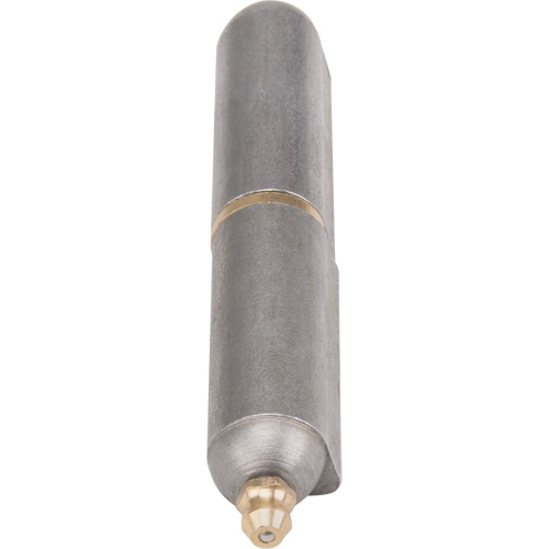 Weld-On Hinge, 0.63" Dia. x 3.937" L, Mild Steel w/Fixed Steel Pin Sécurité Médic