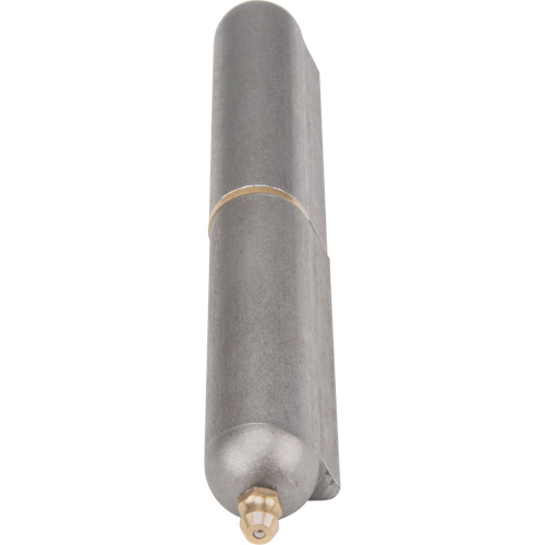 Weld-On Hinge, 0.787" Dia. x 5.906" L, Mild Steel w/Fixed Steel Pin Sécurité Médic