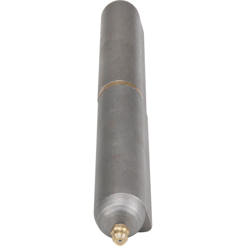 Weld-On Hinge, 0.906" Dia. x 7.874" L, Mild Steel w/Fixed Steel Pin Sécurité Médic