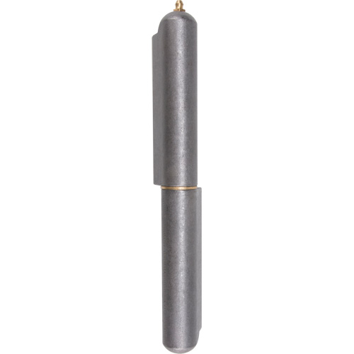 Weld-On Hinge, 1.102" Dia. x 10.236" L, Mild Steel w/Fixed Steel Pin Sécurité Médic