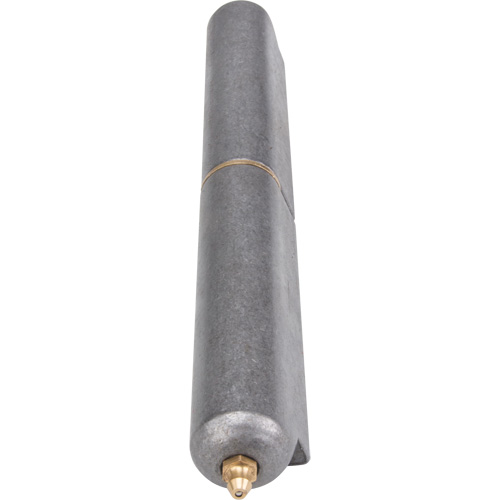Weld-On Hinge, 1.102" Dia. x 10.236" L, Mild Steel w/Fixed Steel Pin Sécurité Médic