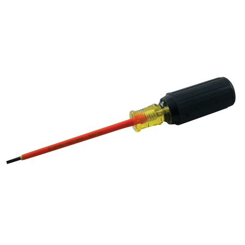 Slotted Screwdriver Sécurité Médic