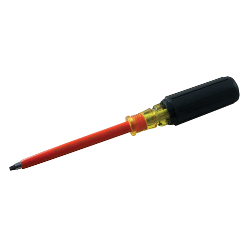 Square Screwdriver Sécurité Médic
