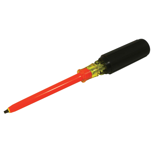 Square Screwdriver Sécurité Médic