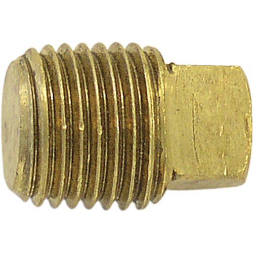 Pipe Plugs (Square Head), 1/2" Dia., Brass Sécurité Médic
