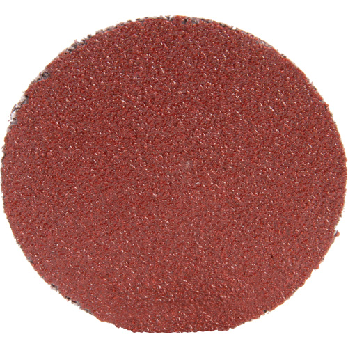 Roloc Disc 361F, 1-1/2" Dia., P100 Grit, Aluminum Oxide Sécurité Médic