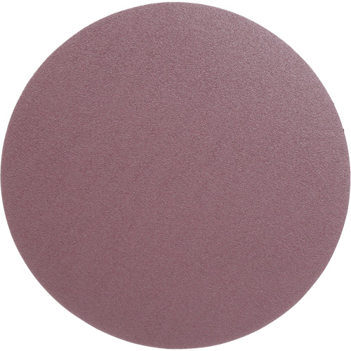 PSA Cloth Disc 348D, 12" Dia., 60 Grit, Aluminum Oxide, X-Weight Sécurité Médic