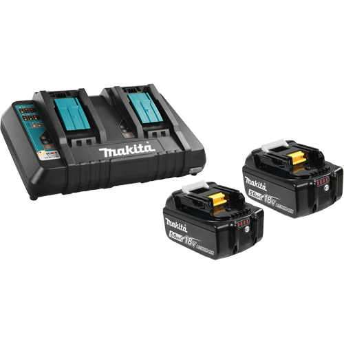 Li-Ion Battery & Dual-Port Charger Kit, 18 V, Lithium-Ion Sécurité Médic