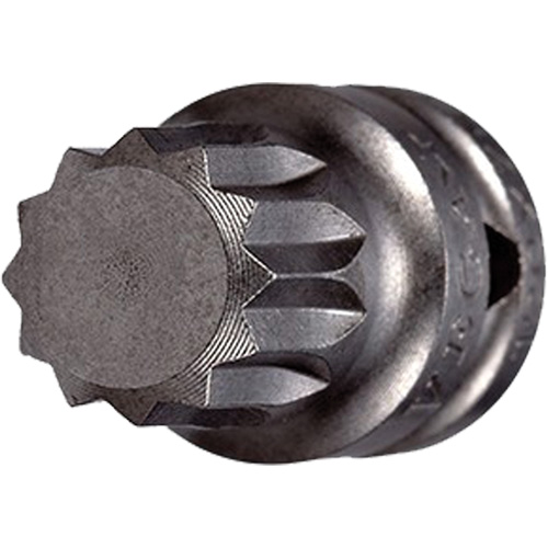 Socket Bit, Triple Square, 5 x 3/4" L, 1/4" Drive Sécurité Médic