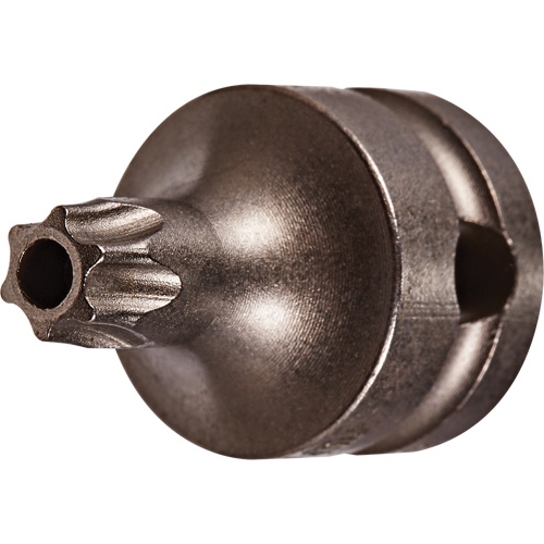 Socket Bit, Torx&reg; Tamper, 25 x 1" L, 3/8" Drive Sécurité Médic