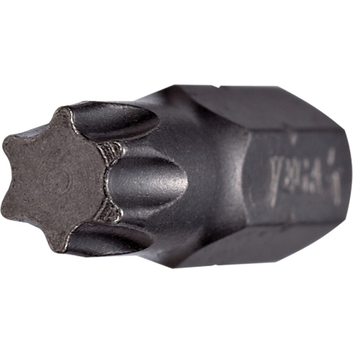 Tamper Insert Bit Sécurité Médic