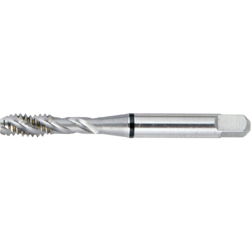 Taraud BT super haute performance &agrave; cannelure spiral&eacute;e DRILLCO, Acier rapide, Filet de 10-24, 2-3/8" l Sécurité Médic