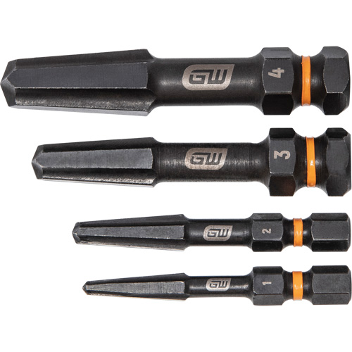 Bolt Biter Screw Extractor Set, High Speed Steel, 4 Pieces Sécurité Médic