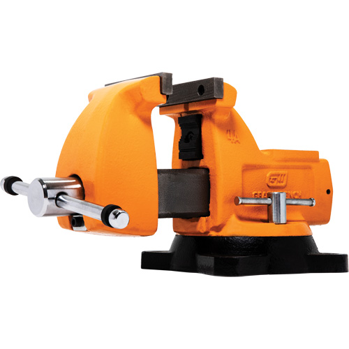 Mechanic's Bench Vise with Anvil, 4" Jaw Width Sécurité Médic